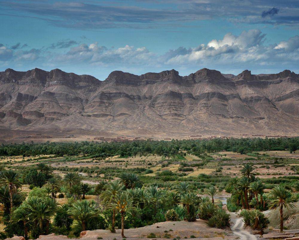 AlUla Oasis, Saudi Arabia (pexels.com/Moussa Idrissi)