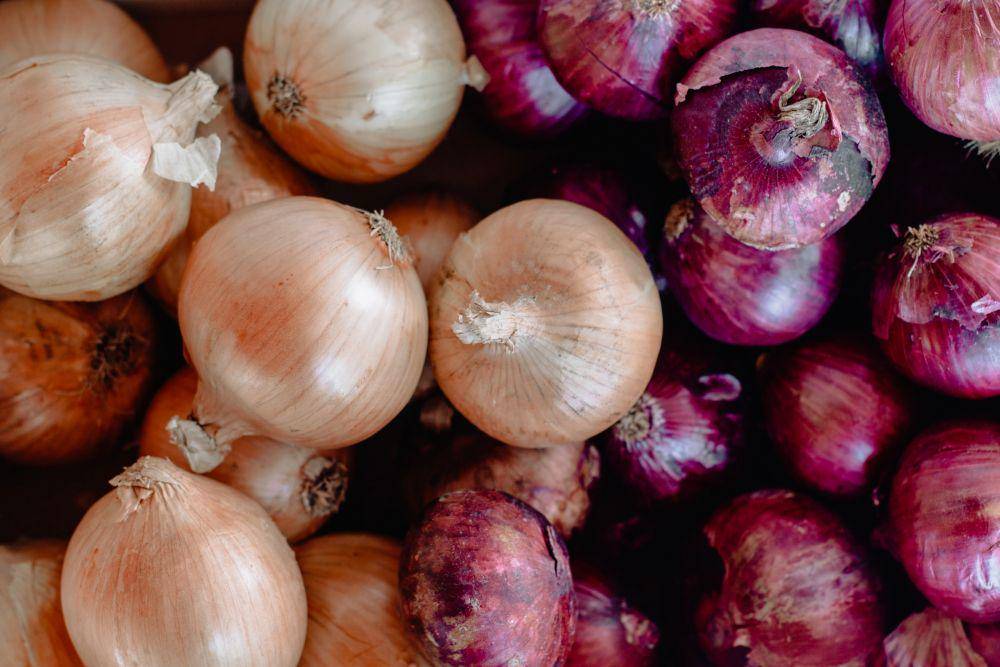 Ilustrasi bawang (unsplash.com/Sincerely Media)
