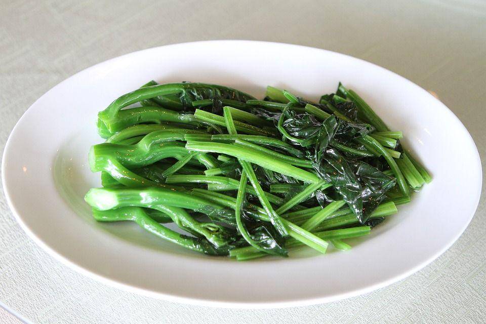 ilustrasi kangkung (pixabay.com/Nicky Girly)