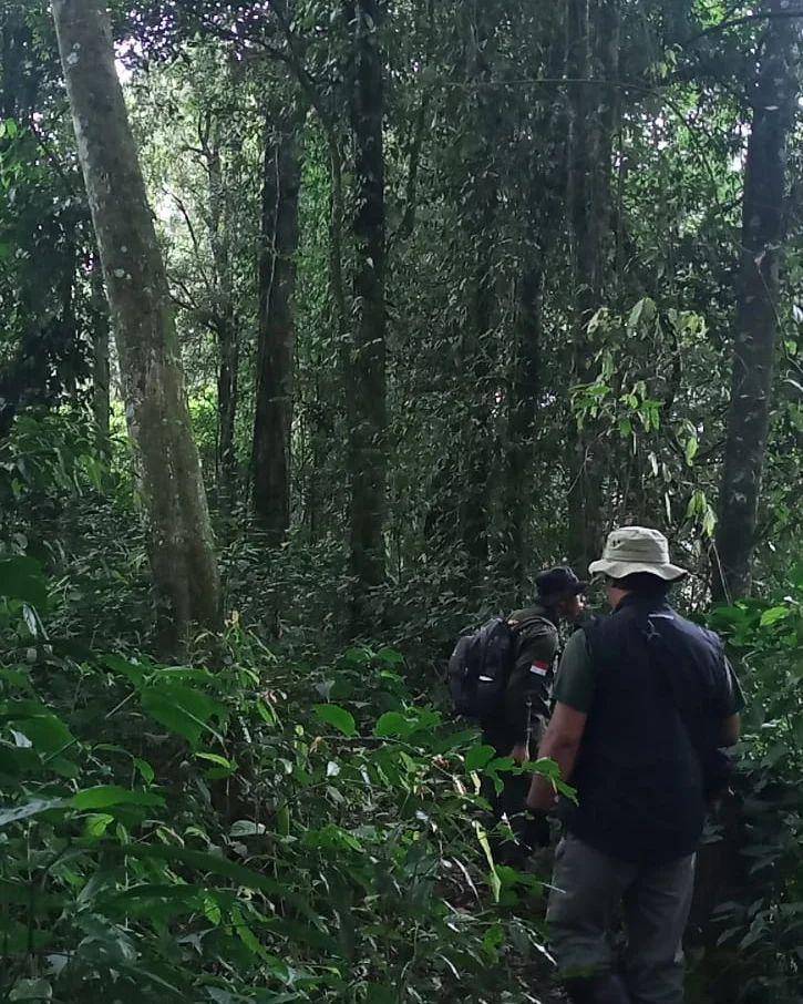 Ranger Profauna saat melakukan patroli hutan di lereng Gunung Kawi. (Instagram/profauna_indonesia)