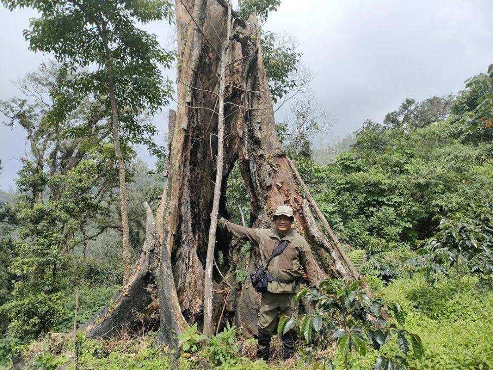 Ranger Profauna saat melakukan patroli hutan di lereng Gunung Arjuno. (Instagram/profauna_indonesia)