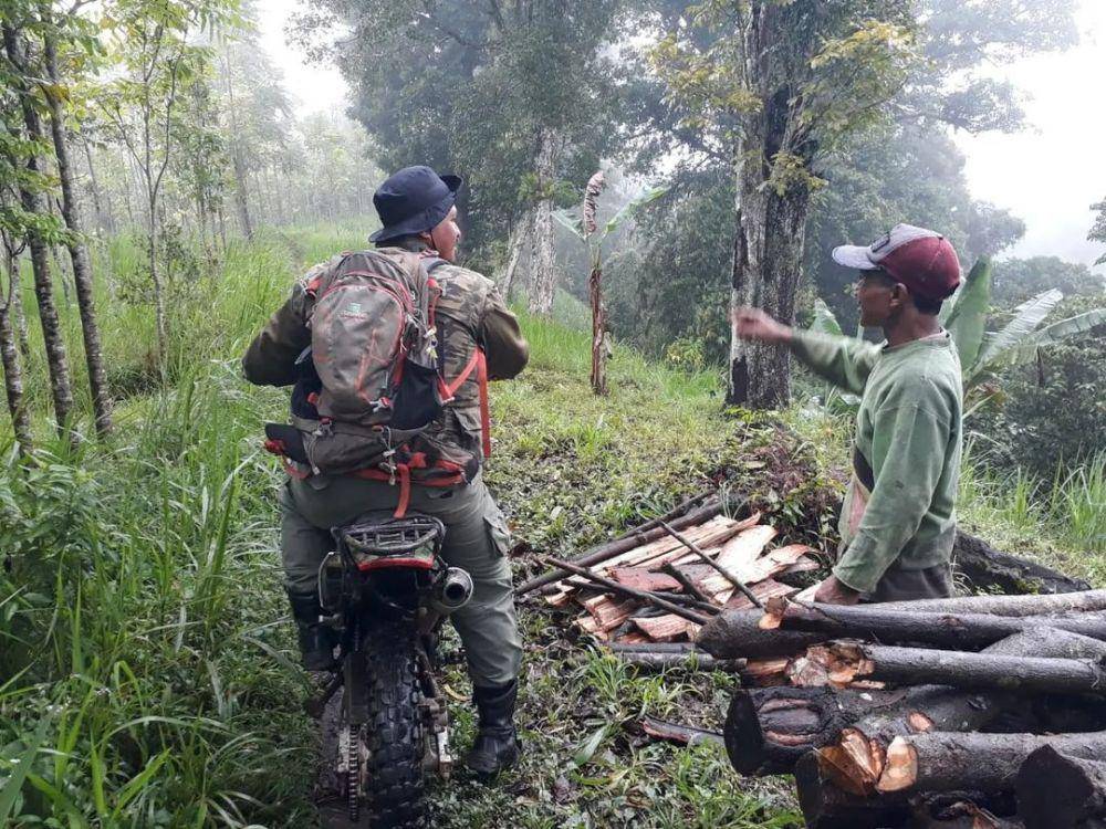 Ranger Profauna saat melakukan patroli hutan dengan motor. (Instagram/profauna_indonesia)