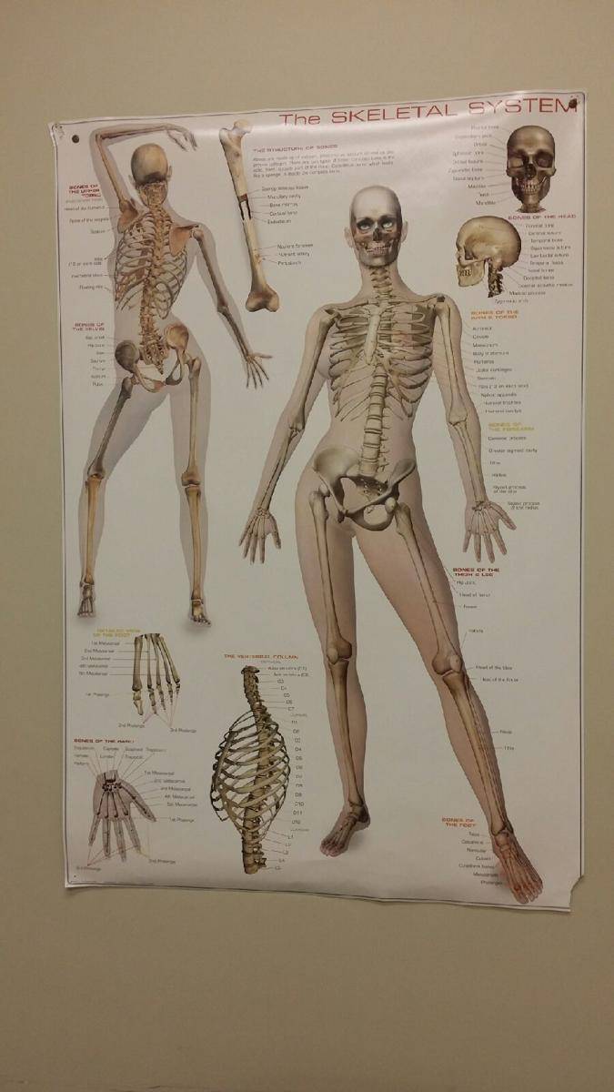 potret humor dokter (reddit.com/user/peerpressure_mademe)