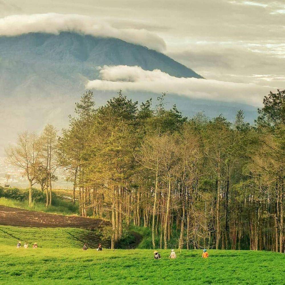 Bukit Jengkoang (instagram.com/bukitjengkoang/iwannurissandy_)