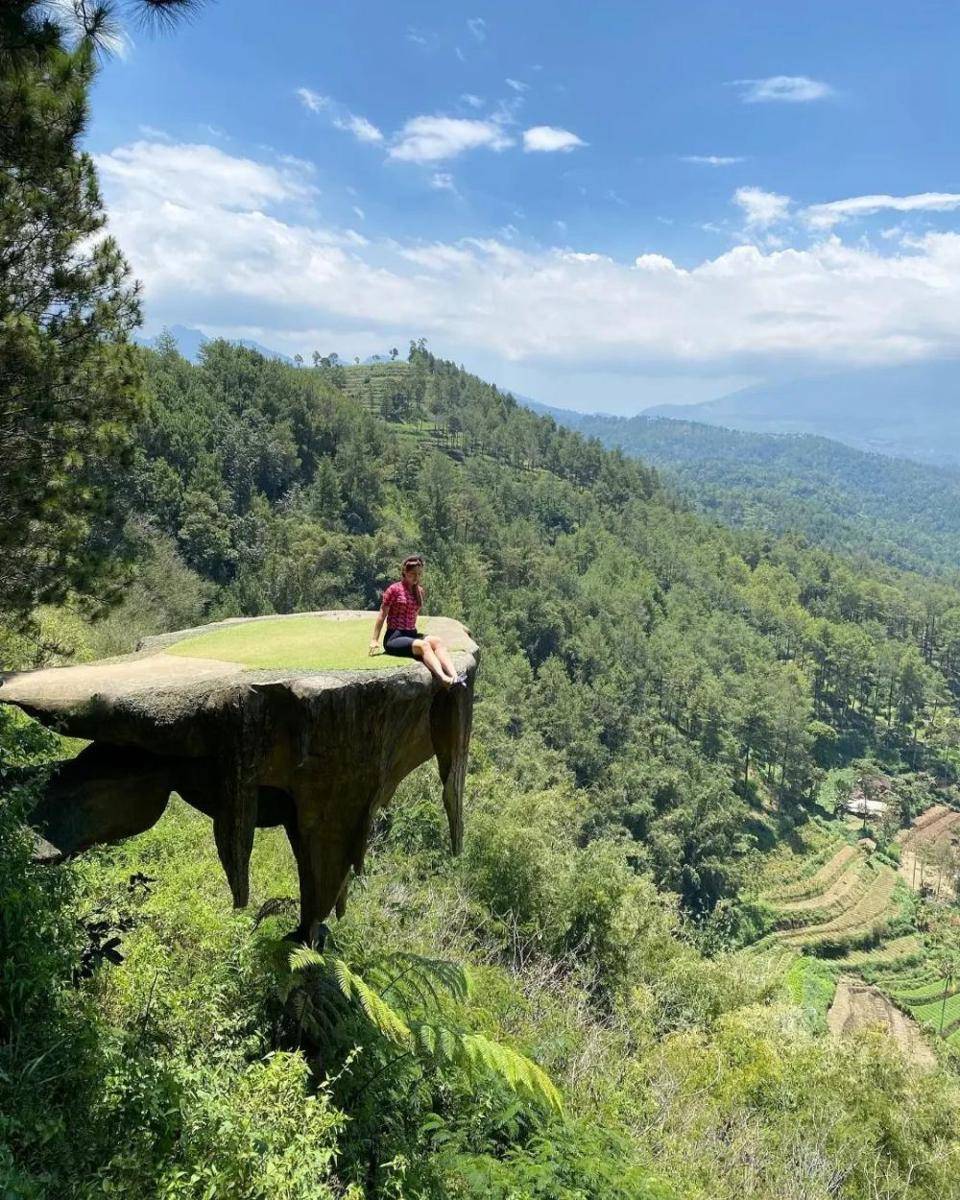 Goa Pinus (instagram.com/malangrayahitz)