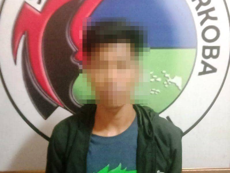Tersangka WA terduga pengedar sabu-sabu di PPU (Dok Humas Polres PPU)