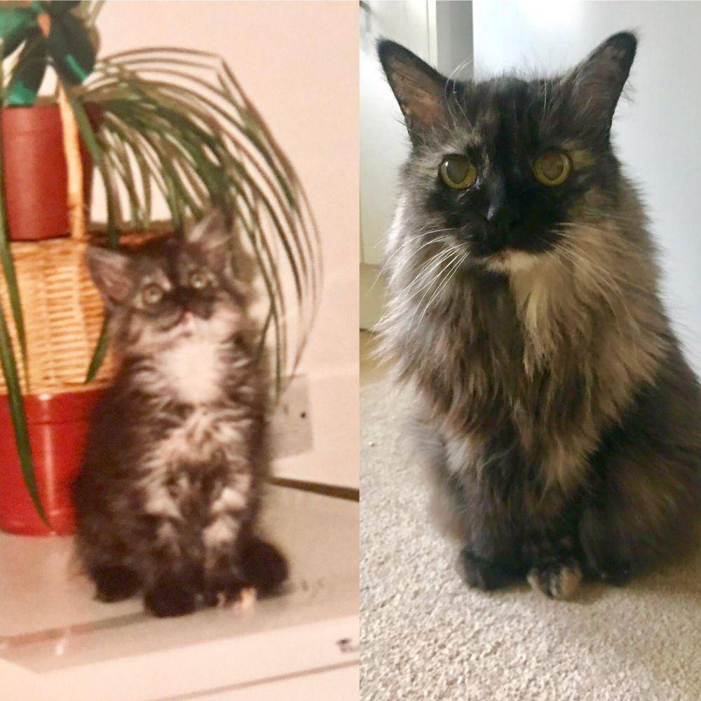 foto yang membuktikan waktu berlalu sangat cepat (reddit.com/user/redditgemma)