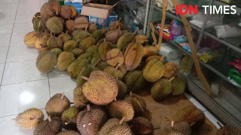 Tumpukan buah durian dari varietas lokal hasil panen raya di kebun milik Kholil di Mijen Semarang. (IDN Times/Fariz Fardianto)