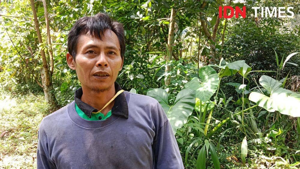Kahono, seorang tukang pemetik durian yang masih eksis di wilayah Kecamatan Mijen Semarang. (IDN Times/Fariz Fardianto)