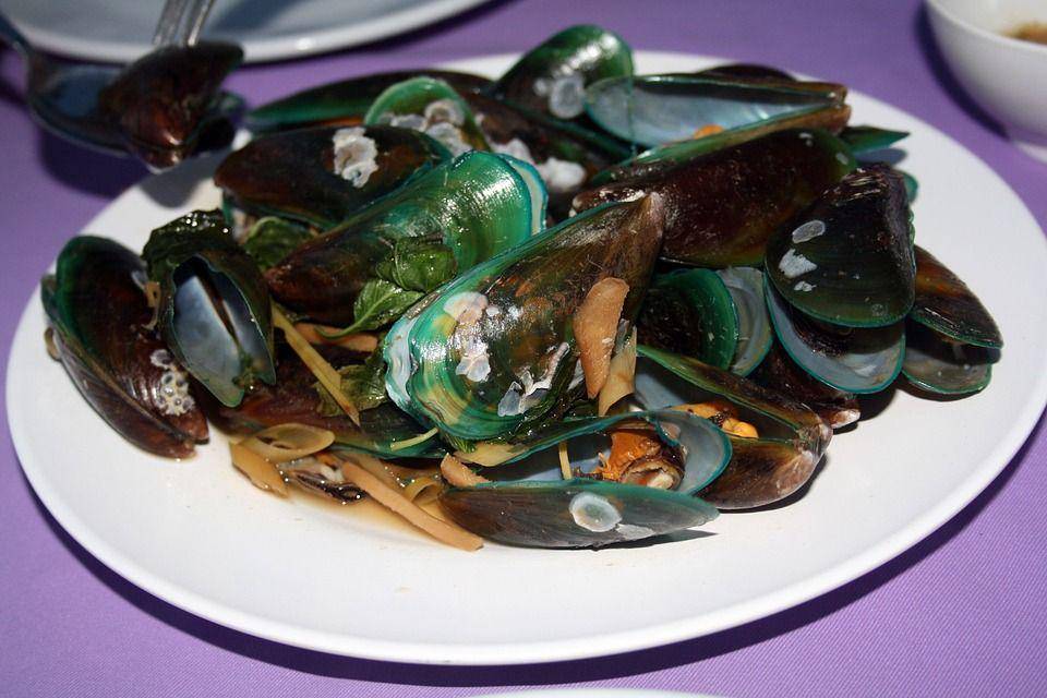 Ilustrasi kerang hijau (pixabay.com/Norbert Glas)