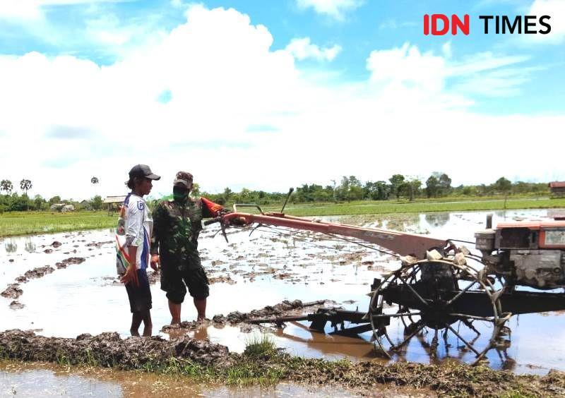 Koramil Penajam Kerahkan Babinsa untuk Ketahanan Pangan Masyarakat