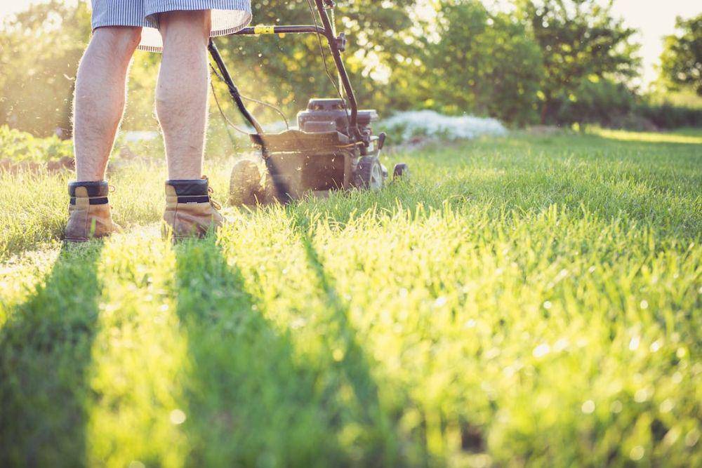 ilustrasi orang memotong rumput dengan mesin (pexels.com/Magic K)