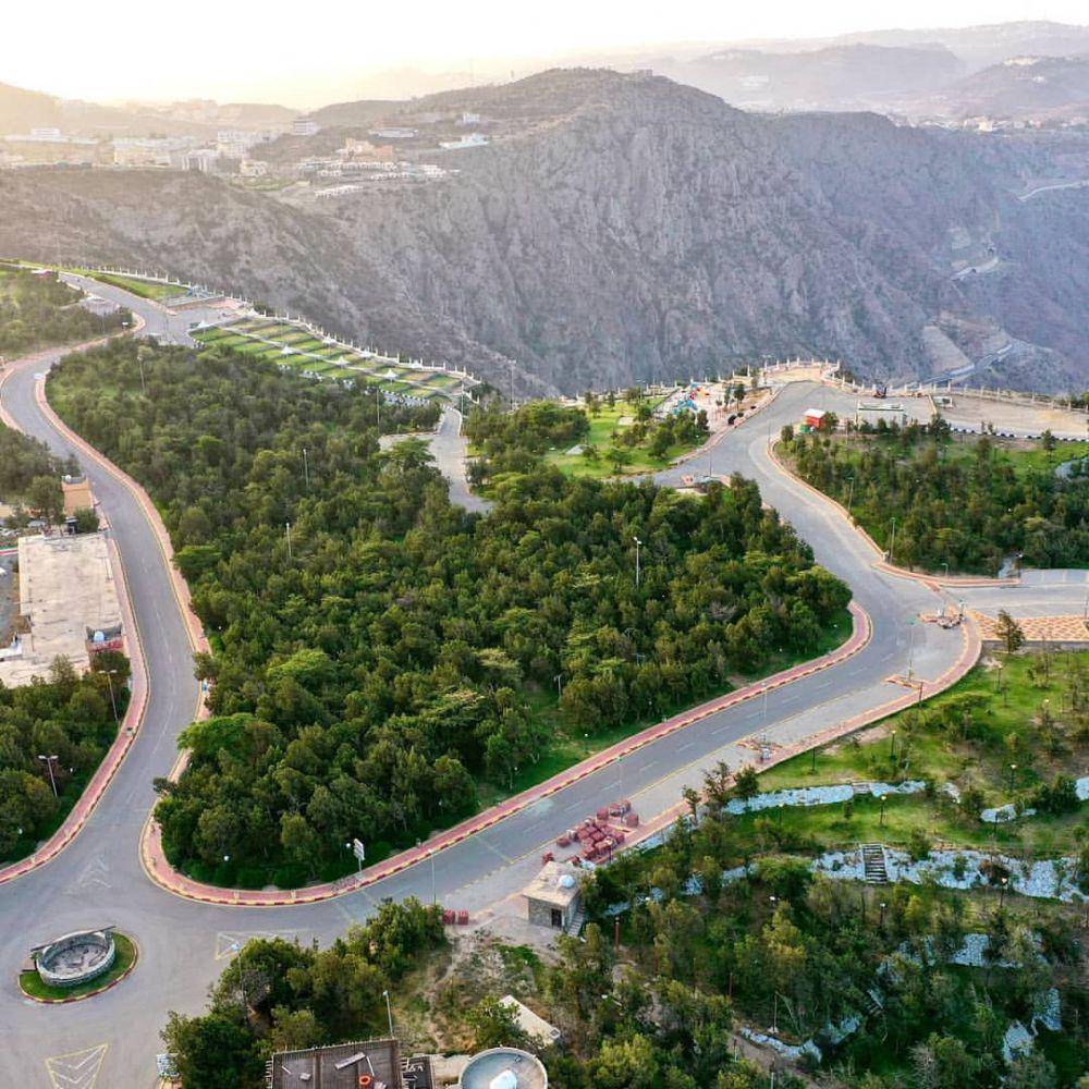 Gunung Sarawat, Arab Saudi (instagram.com/visitsaudi)