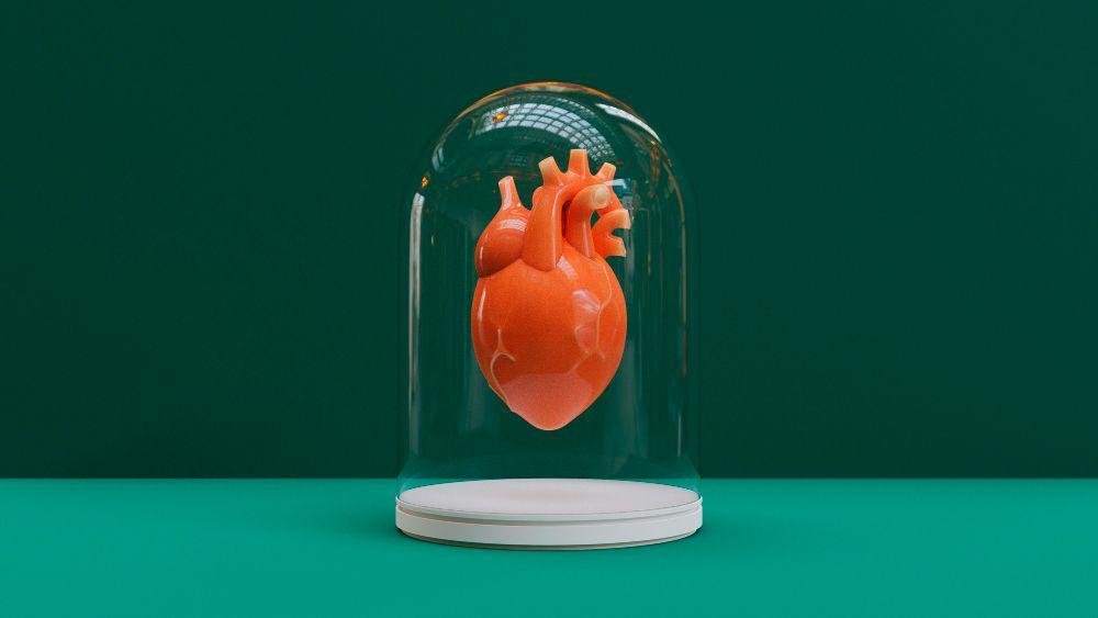 5 Organ Tubuh yang Dapat Didonorkan