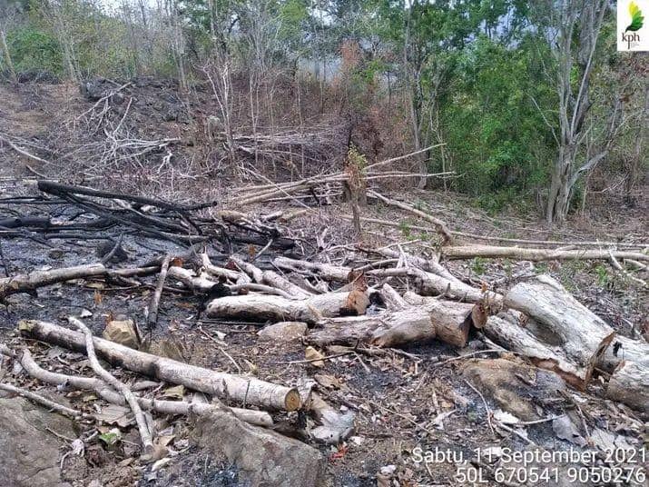 Perambahan hutan di Pulau Sumbawa. (dok. Gakkum Dinas LHK NTB)