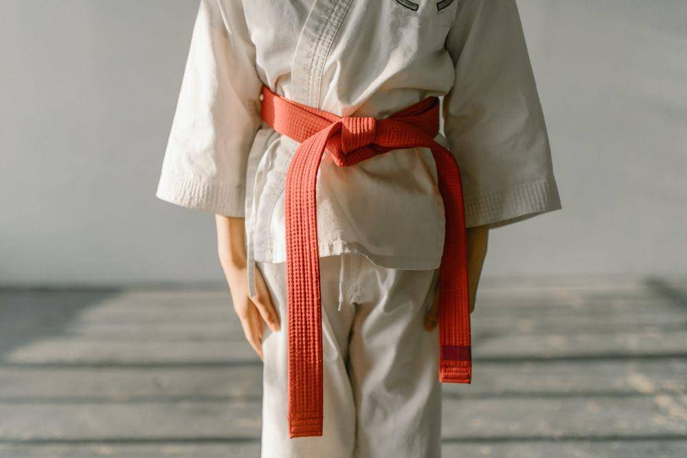 Ilustrasi karate sabuk oranye (pexels.com/RODNAE Productions)