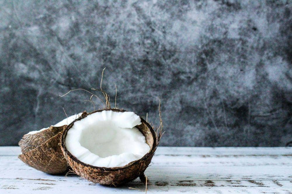 Ilustrasi Batok kelapa(unsplash.com/Tijana Drndarski)