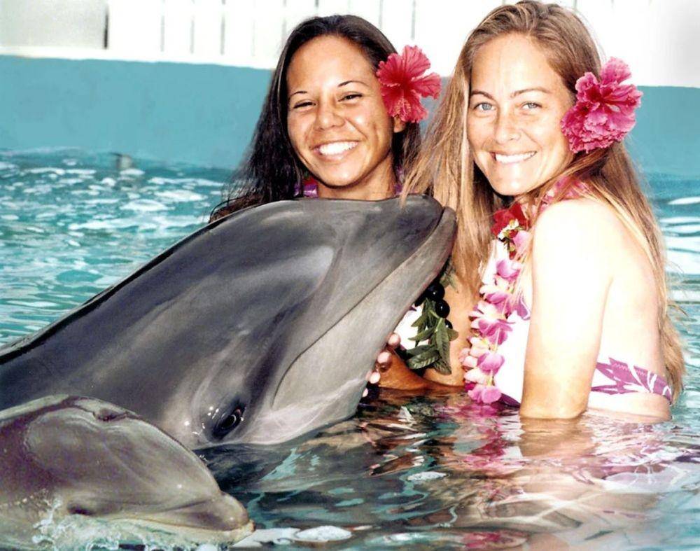 Wholphin (nbcnews.com)