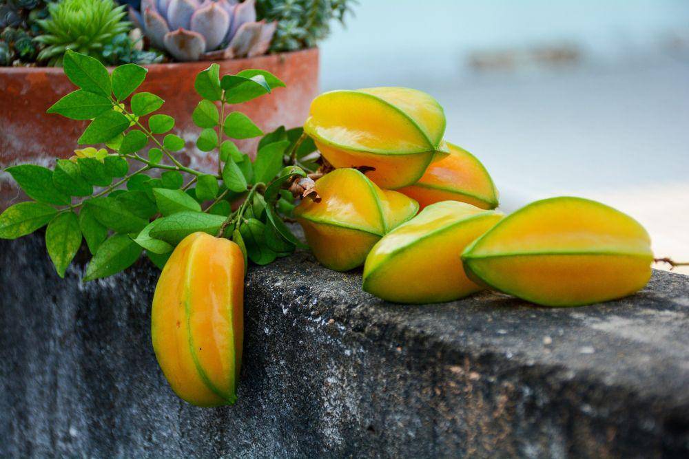 buah belimbing (pixabay.com/ Kenzo Phan)