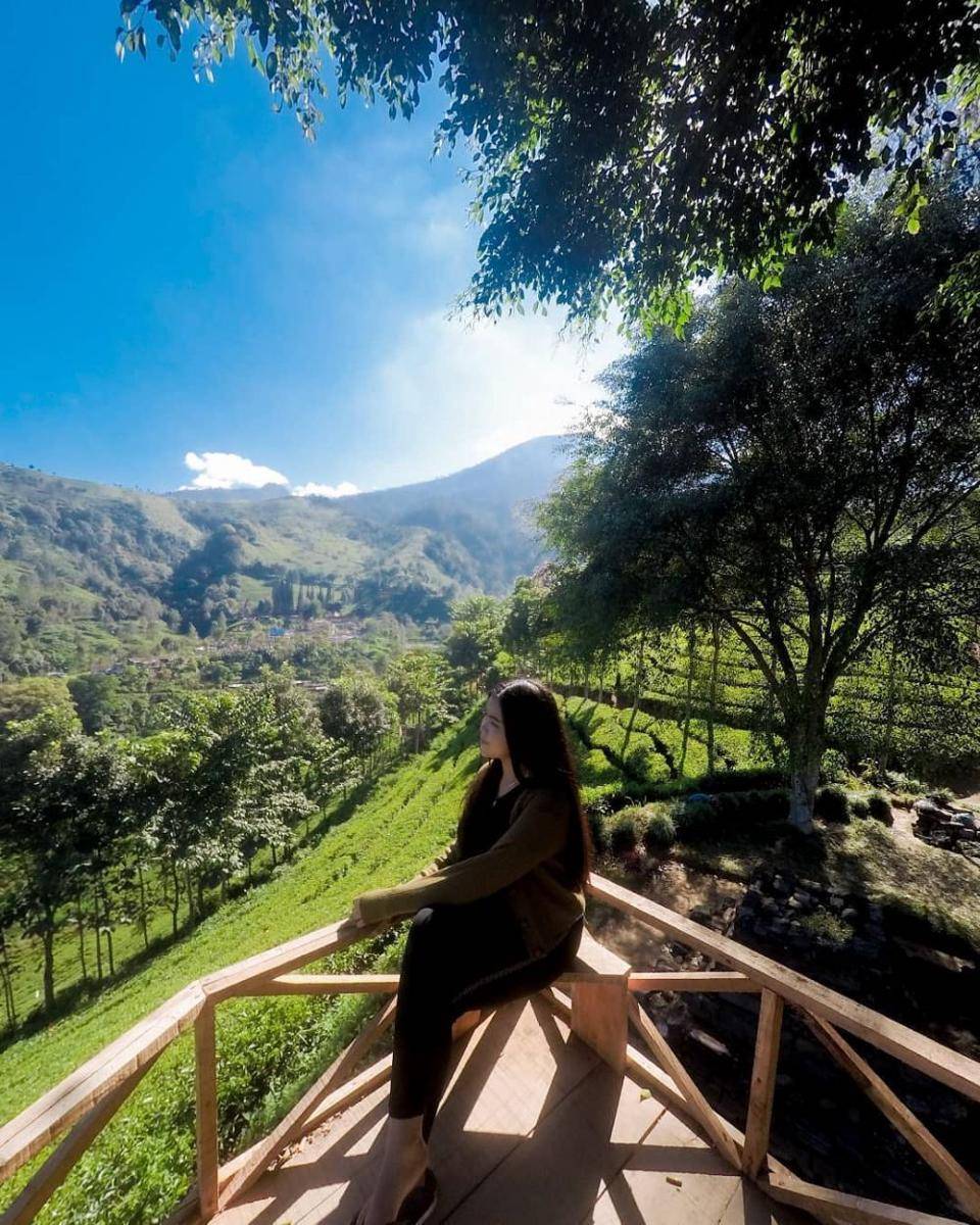 Perkebunan Teh Sirah Kencong Blitar (instagram.com/auliape_)