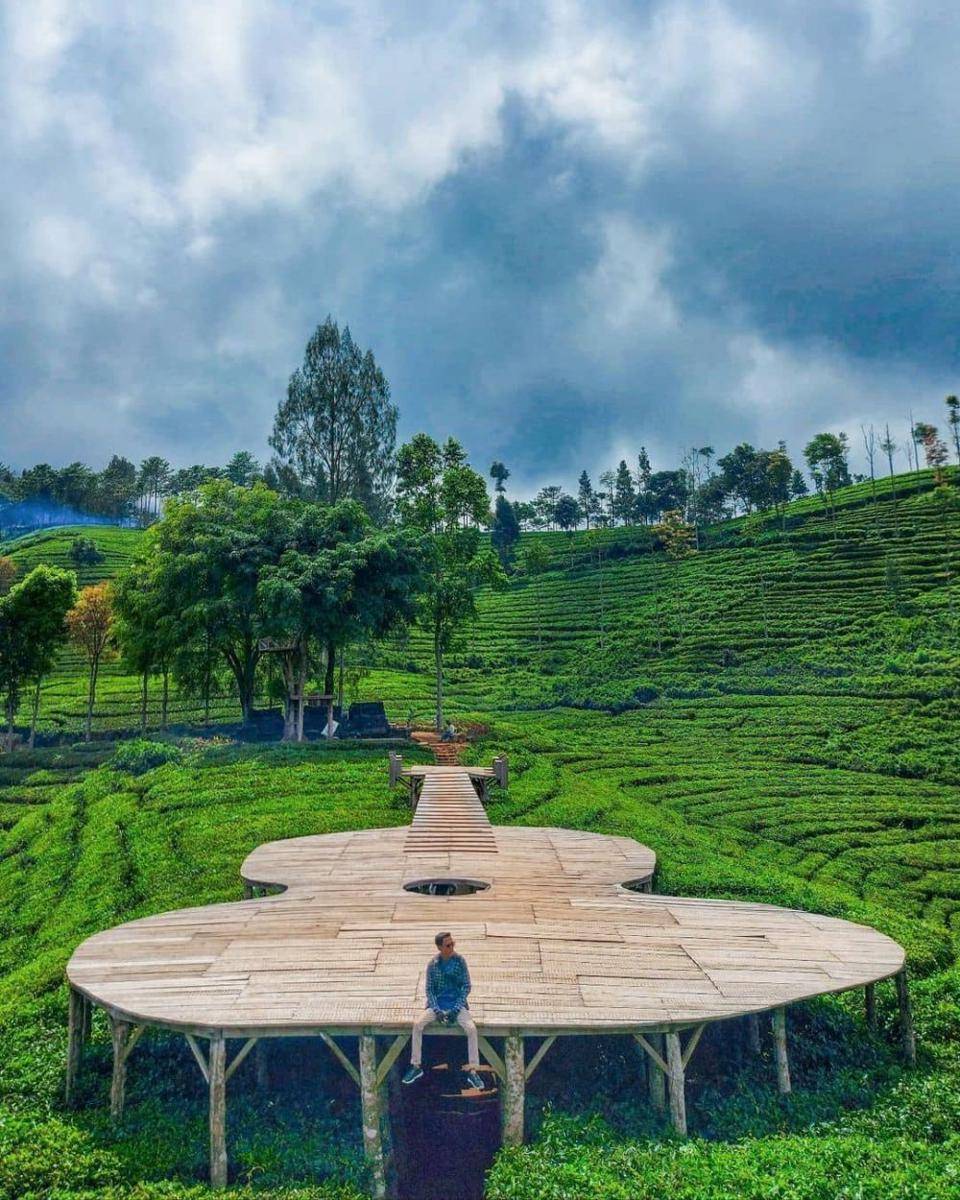 Perkebunan Teh Sirah Kencong Blitar (instagram.com/muhammad_rijal_97)
