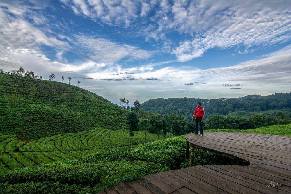 Perkebunan Teh Sirah Kencong Blitar (instagram.com/media.setyadewi)