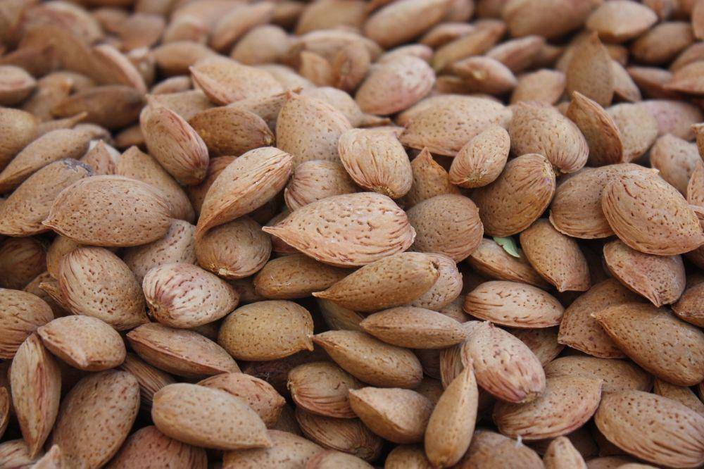 kacang almond (pixabay.com/ingridpomodoro)