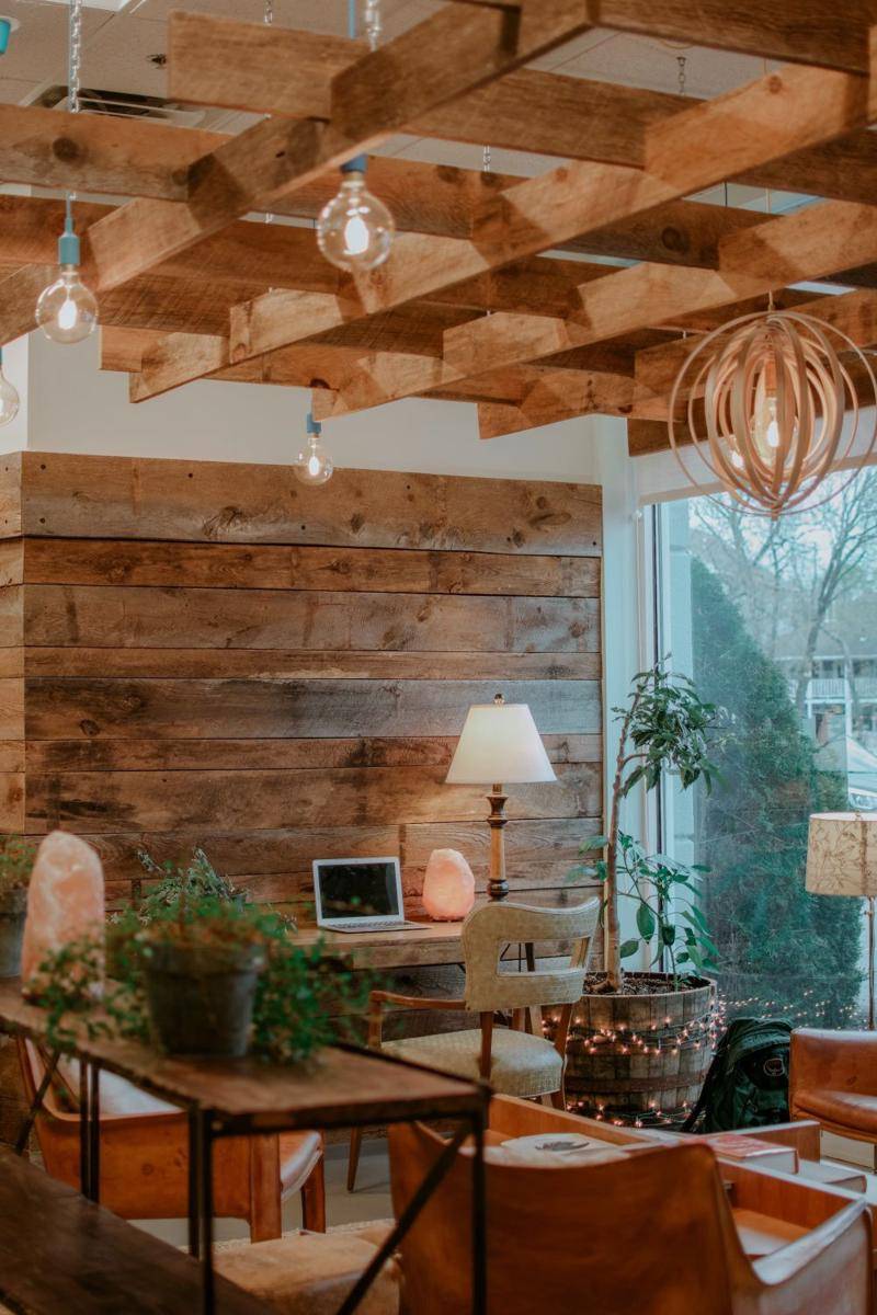 Interior desain ruang tamu untuk pencinta tanaman. (unsplash.com/Andrea Davis)