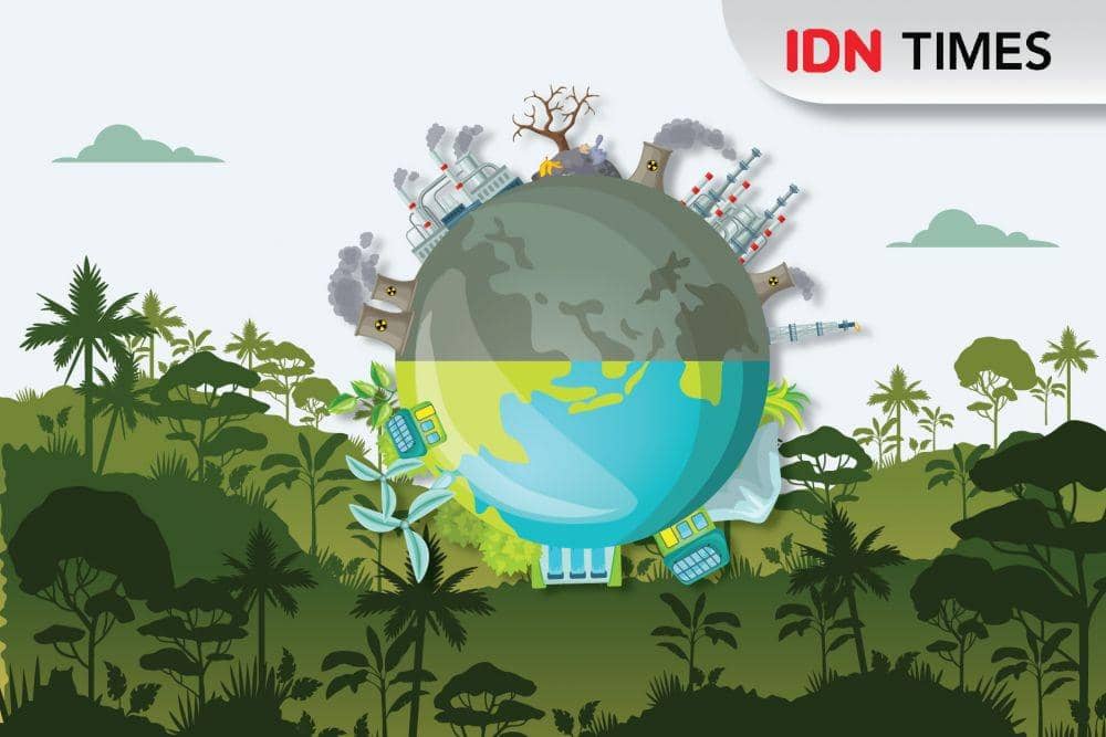 Nasib Hutanku Sayang, Hutanku yang Malang