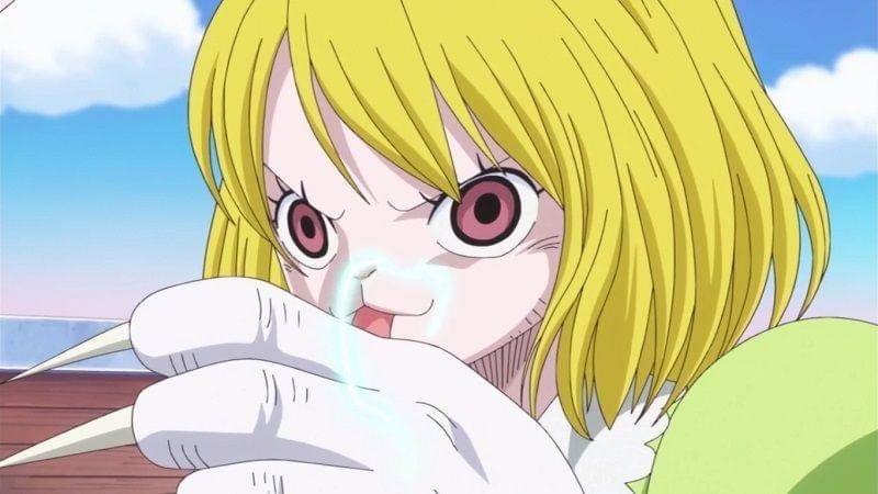 (Dok. Toei Animation/One Piece)