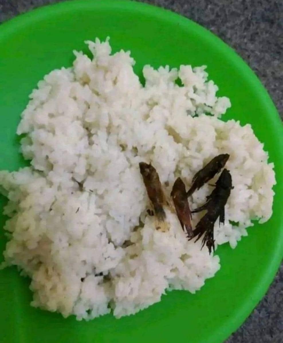 makanan warga nyeleneh (instagram.com/wkwkland_real)