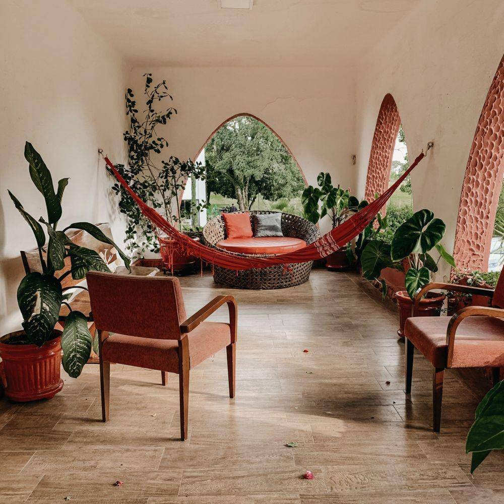 Interior desain ruang tamu untuk pencinta tanaman. (unsplash.com/Jonathan Borba)