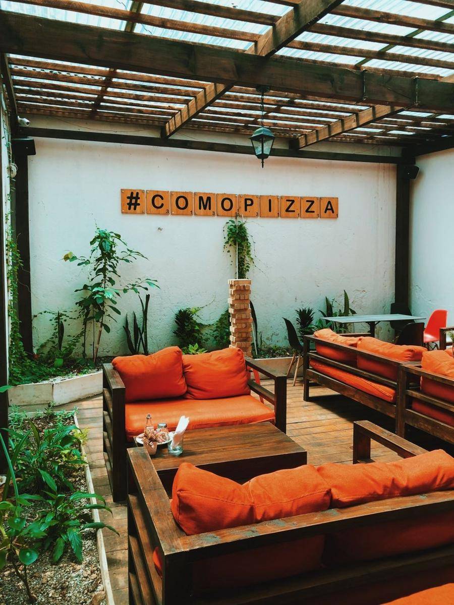 Interior desain ruang tamu untuk pencinta tanaman. (unsplash.com/Mel Elías)
