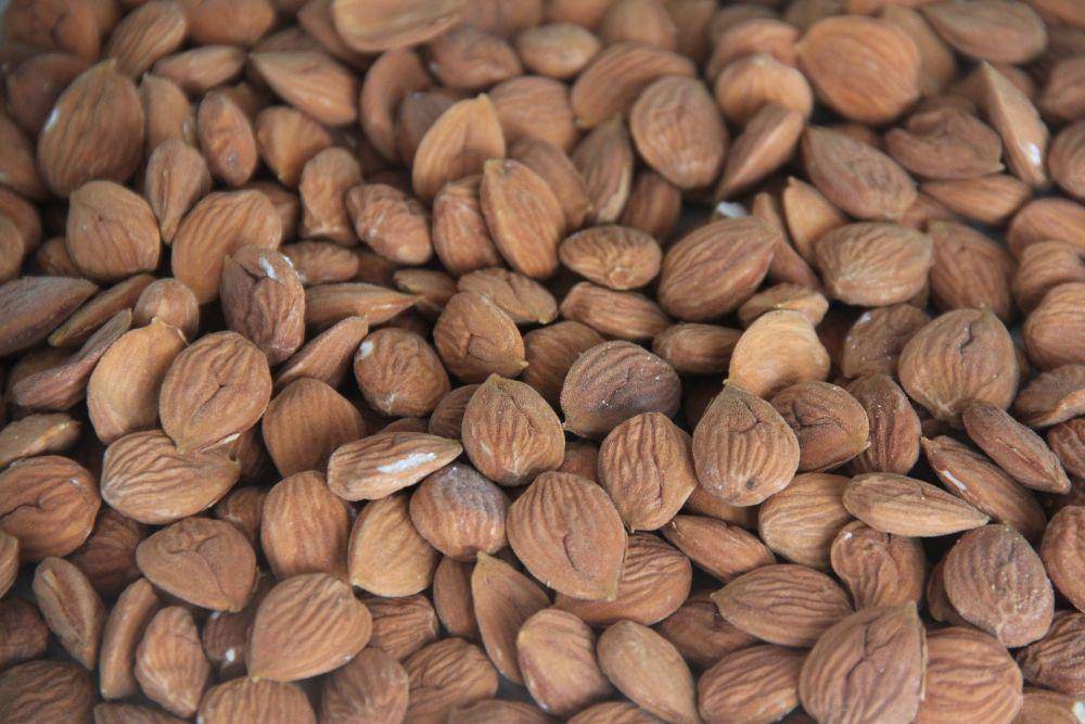 kacang almond (pixabay.com/Dx21)