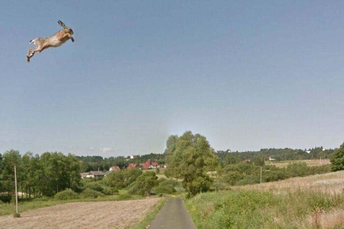 10 Potret Absurd dari Google Street View, Bisa Kocak Begini!