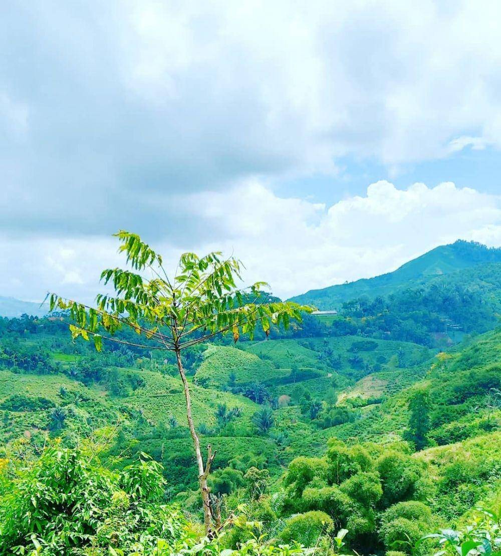 Bukit Kacapi (instagram.com/iz_munawar)