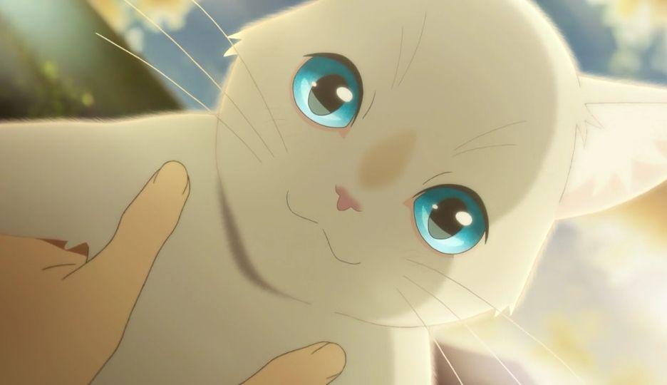 6 Pelajaran Hidup dari Anime A Whisker Away