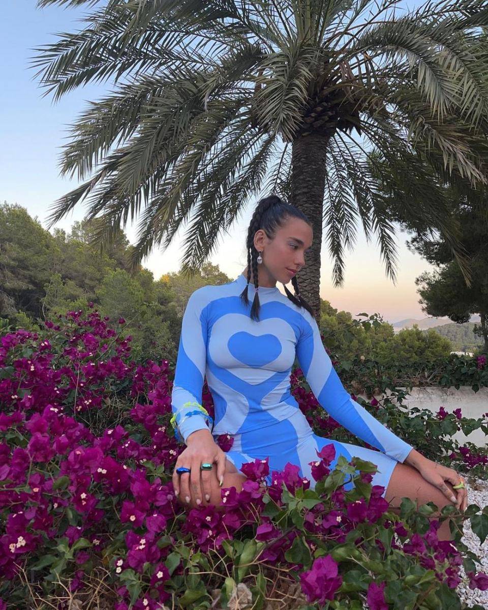 Potret Dua Lipa (instagram.com/dualipa)