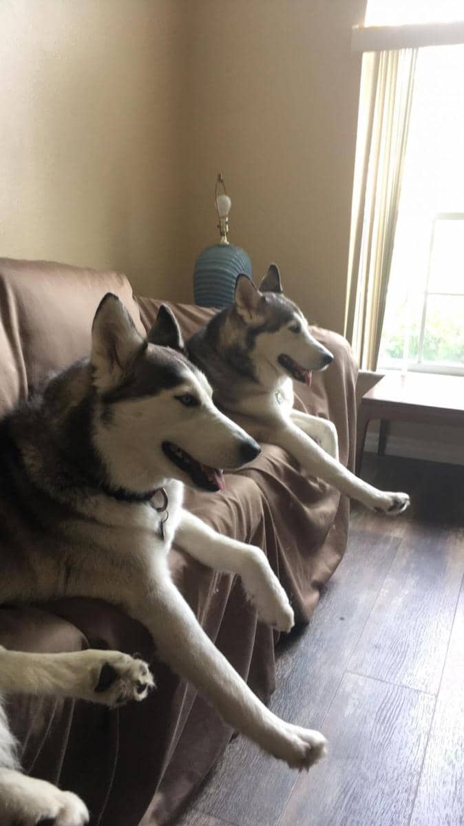 potret momen seperti glitch di dunia nyata (reddit.com/user/bricecrispy899)