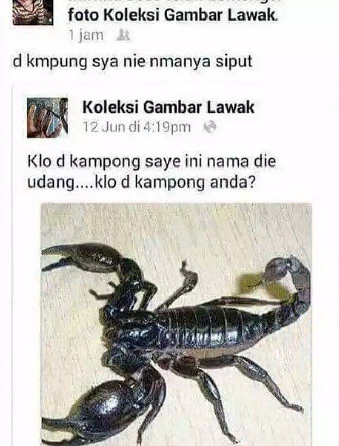 status Facebook asal nyeplos (1cak.com)
