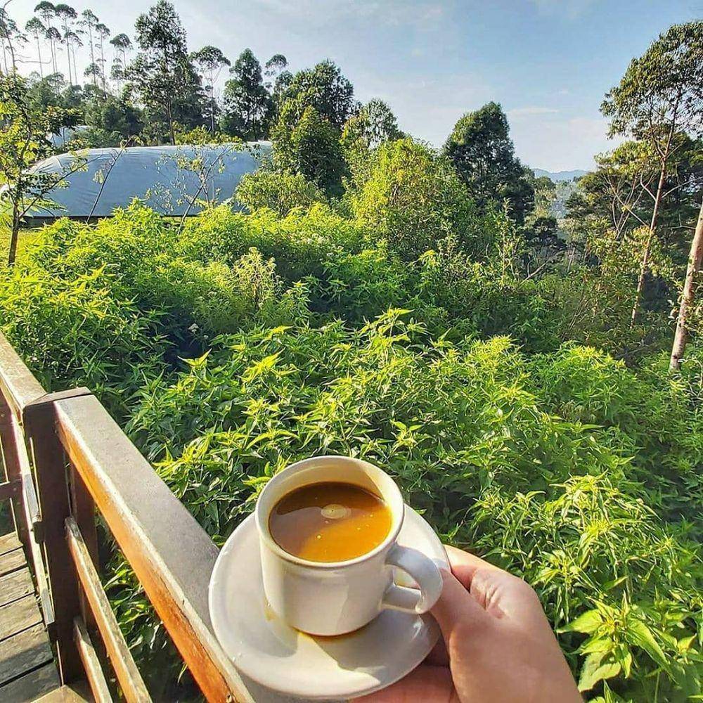 Suasana di Glamping Lakeside Rancabali (instagram.com/yulianissaa)