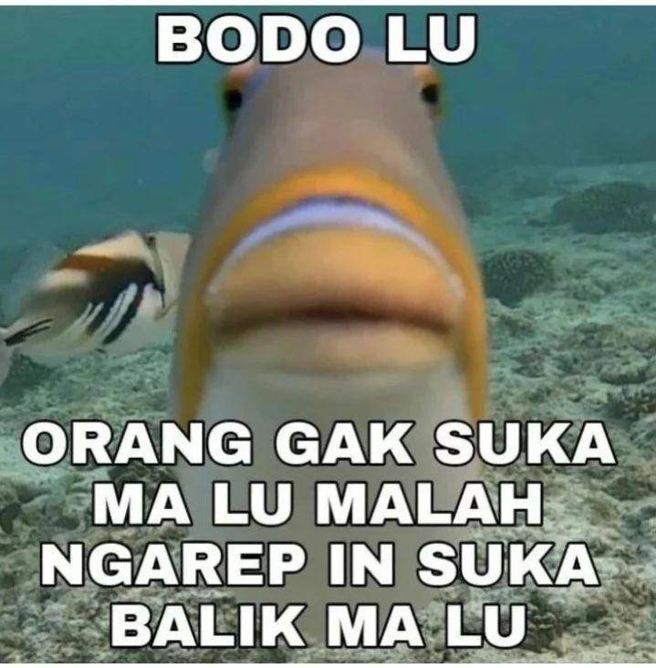 meme gagal PDKT (instagram.com/meme.wkwk)