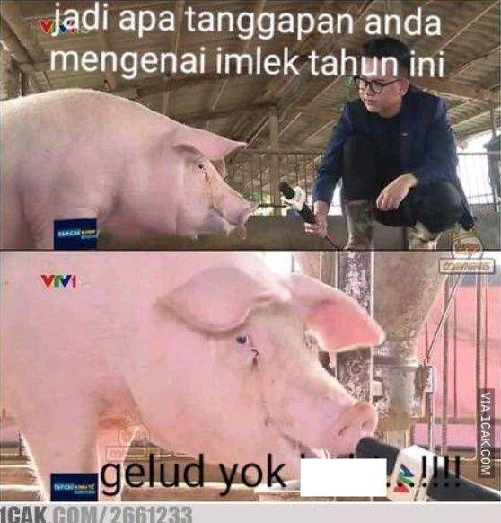 meme babi Imlek (1cak.com)