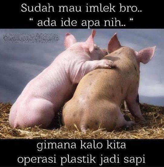 meme babi Imlek (instagram.com/meme.comic.indonesiia)