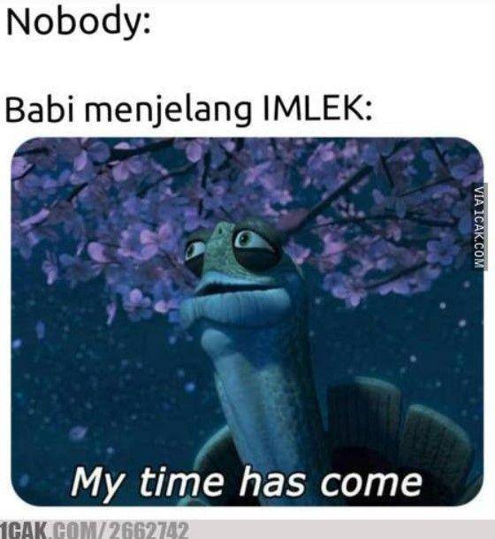 meme babi Imlek (1cak.com)