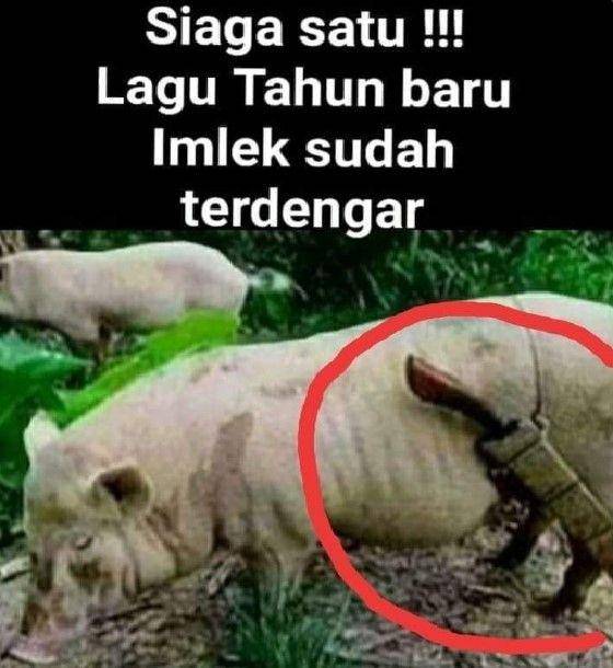 meme babi Imlek (facebook.com/ketawangakak)