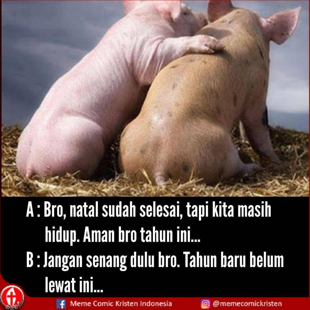 meme babi Imlek (instagram.com/memecomickristen)