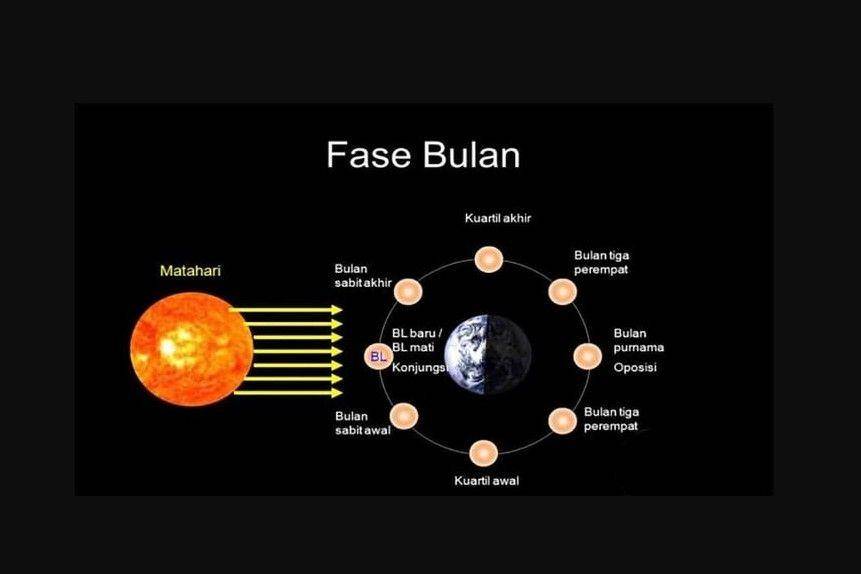 Fase Bulan (https://www.usd.ac.id/fakultas/pendidikan)