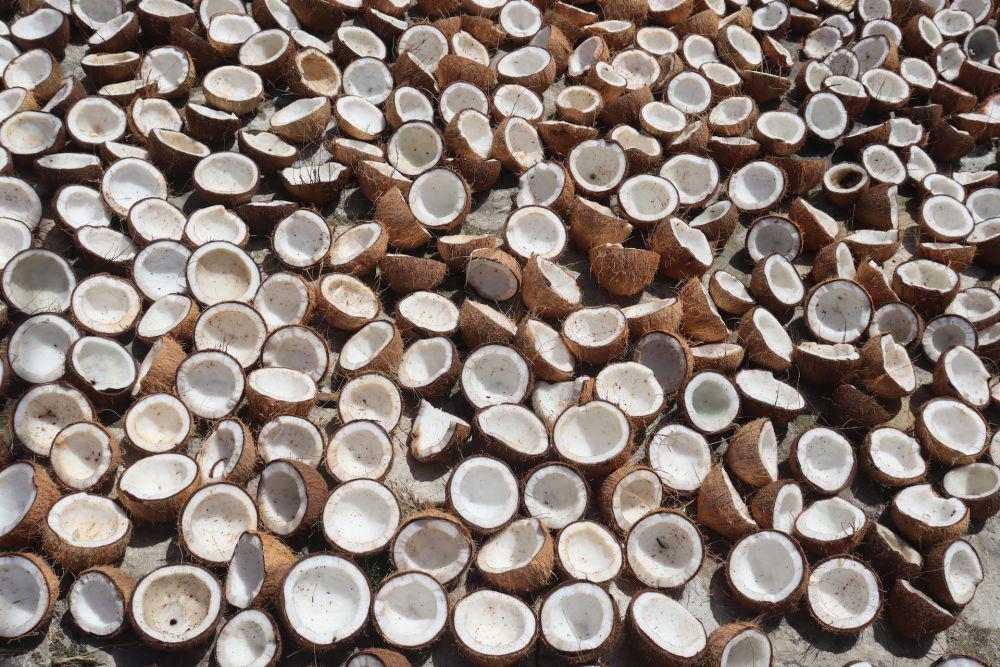 5 Fakta Menarik dari Kopra, Produk Turunan Kelapa Unggulan Indonesia