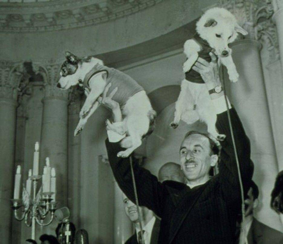 dua ekor anjing dari Uni Soviet yang ditugaskan ke luar angkasa (dok. Russian Institute of Biomedical Problems)